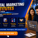 Digital Marketing Institutes